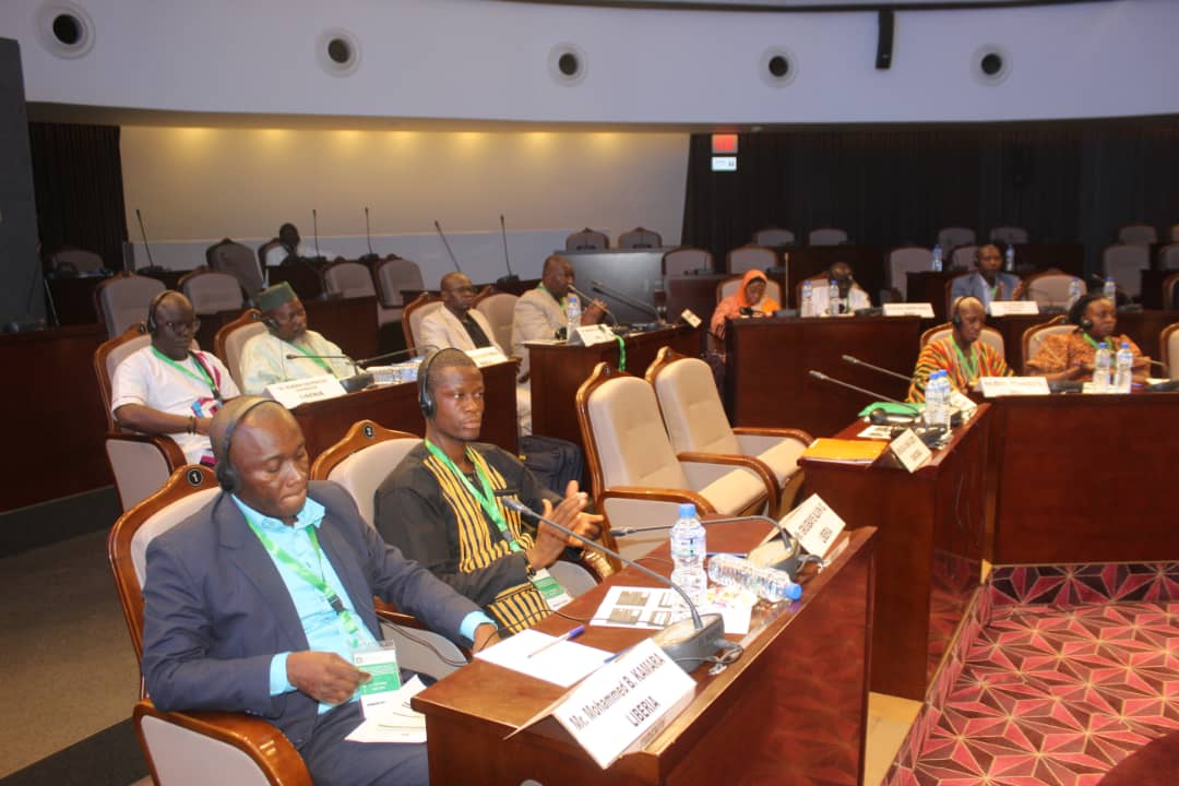 Harmonisation des curricula de formation en médecine traditionnelle dans l'espace CEDEAO  Lomé abrite le 14 ème congrès annuel scientifique du secteur
